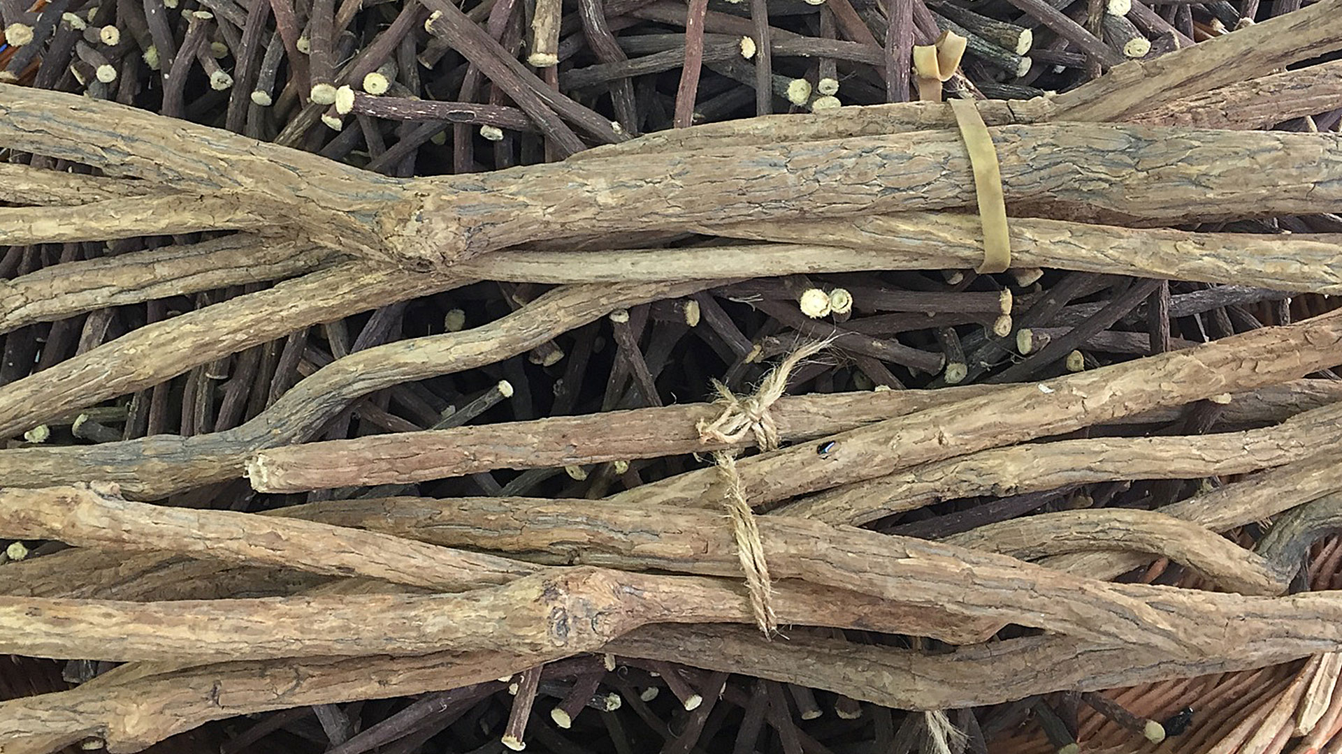 Süßholz